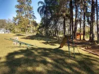 Very green place to relax by the pool