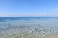 Nice Apartment with Sea Views Son Bou - 海景