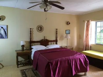 Free Airport pick-up. private villa with amazing ocean veiw, pool, and maid. Hotels in 