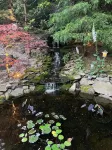 Hexagon shape cottage with pool & koi fish pond