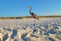 Cottage with awesome outdoor living area 5 minutes to Navarre Beach!