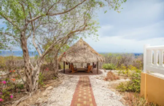 Holiday Home Gran Veranda with private pool and ocean view, Coral Estate