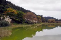 Modern villa in the center of Furnas