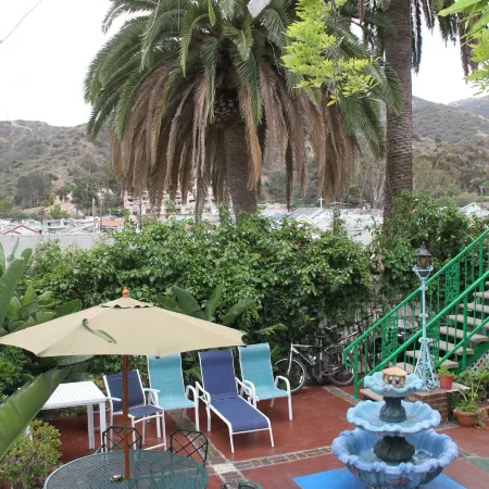 La Paloma Las Flores