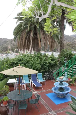 ลา ปาโลมา ลาส ฟลอเรส