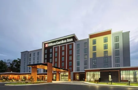 Hilton Garden Inn Austin Central Отели в г. Остин