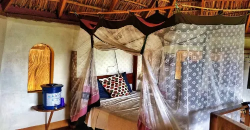 Finca del Sol Eco Lodge - Homestays