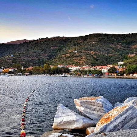 Murat Kaptan Apt