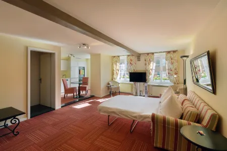 Romantik Hotel Schwan Отели рядом с достопримечательностью «Thalwil»