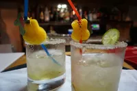 Holland Lodge Paramaribo - bar