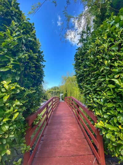 Surroundings Lazaat Hotel Photo