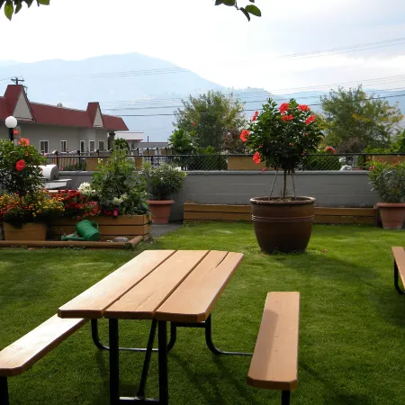 Apple Tree Inn
