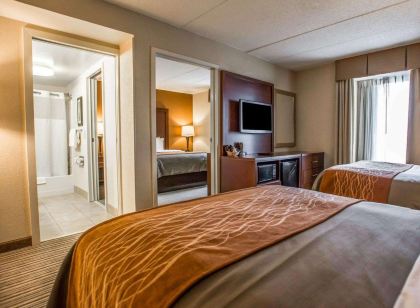 Comfort Inn at the Park