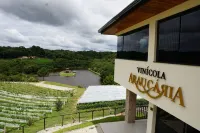 Hotel Boutique Vinícola Araucária by Slaviero Hoteis Hotels in Miringuava