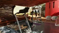 ArendSig Villa فنادق في Mabula