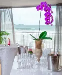 Lagoon Beach Hotel & Spa - Bares