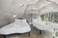 فيرن كريست كامجروند