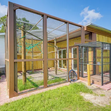 Sleep with Sloths and Lemurs! Modern Webster Home