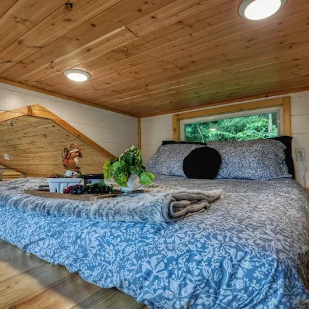 The Leconte Tiny Home Overlooking the Pigeon River