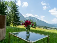 Wohnung Garten 1 Seeblick Hotel a Strobl