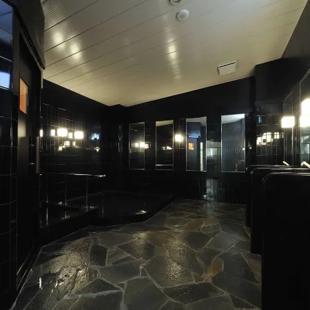 Green Rich Hotel Iwakuni Ekimae (Artificial Hot Spring Futamata Yunohana)