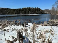 Wildlife Lakeside Cottagebeautiful Views, Amazing Wildlife, Great Location