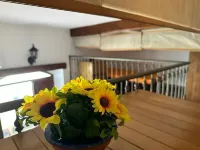 Monolocale Fronte Mare, 5m da Spiaggia Pubblica o Lido Attrezzato