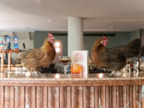 Kyah Hotel Hotels in Blackheath