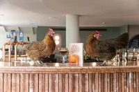 Kyah Hotel Hotels in Blackheath