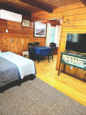 Lakeview Country Cabin ~ Studio w/ 2 Queen Beds