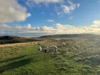 Bespoke studio with patio, driveway parking, sea, South Downs on the doorstep, Các khách sạn ở Seaford