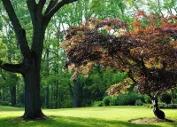 Perfect Getaway - Your Sanctuary Among Nature