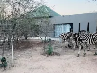 Charming 2-bedroom villa with WiFi, AC in tranquil Marloth Park