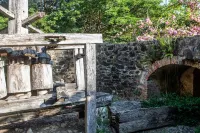 This Must Be the Place