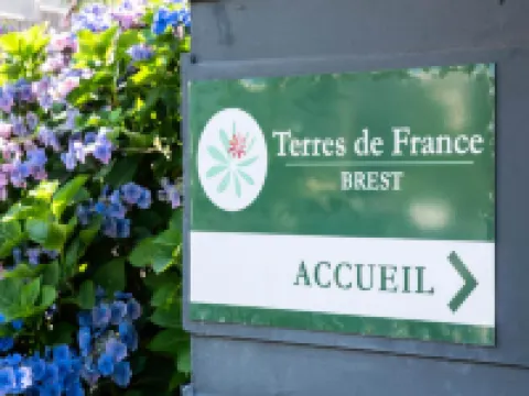 2 Room Apartment 4 People