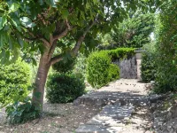 Villa in Pouzols with Private Pool & Vineyards - Villas