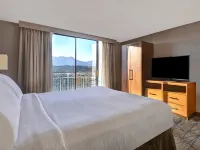 Embassy Suites by Hilton Colorado Springs Hotels near Cottonwood Creek Park