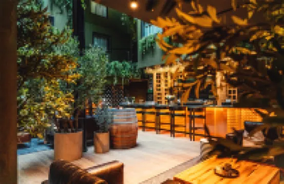 魔法三葉草港口酒店，麗笙酒店成員