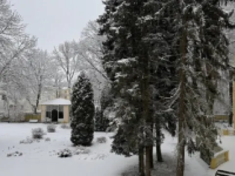 Hotel Kochubey-Center Hotels in Pushkin