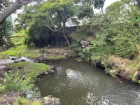 Urban oasis in heart of city-large yard Отели рядом с достопримечательностью «Музей Байшоп»