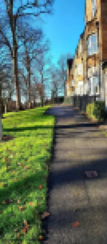 더 파크뷰 하우스, 웨이크필드