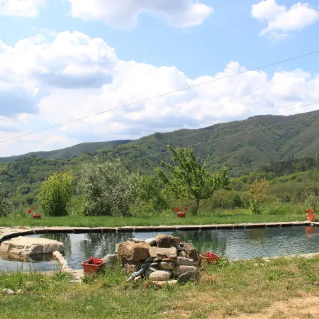 Holiday Home in Mulazzo with Natural Pond