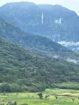 Albatross Ohana~Top location~3 bedroom house w/ loft, waterfall views~ small pet