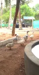 Farm Shaala - Wifi