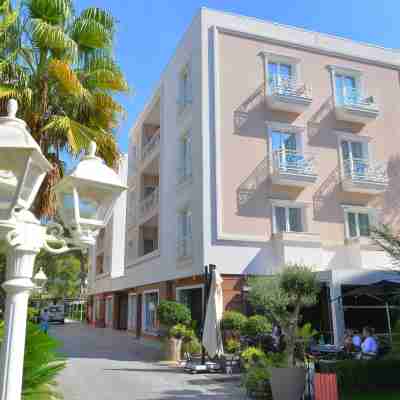 Sandy Beach Resort Hotel Exterior