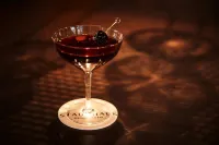 漢堡施柏閣酒店 - 酒吧