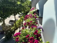 Villa24 Vlore Hotels in Vlore