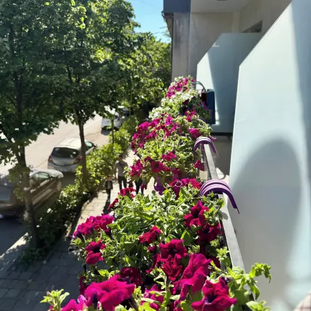 Villa24 Vlore