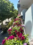 Villa24 Vlore