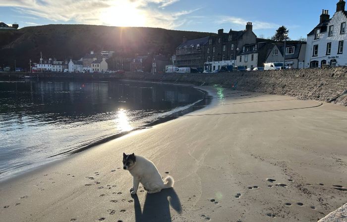 Harbour Hoose - Stonehaven